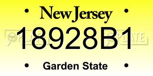 18928B1 New Jersey License Plate