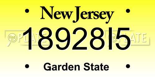 18928I5 New Jersey License Plate