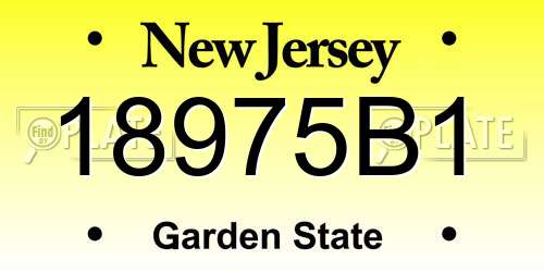 18975B1 New Jersey License Plate