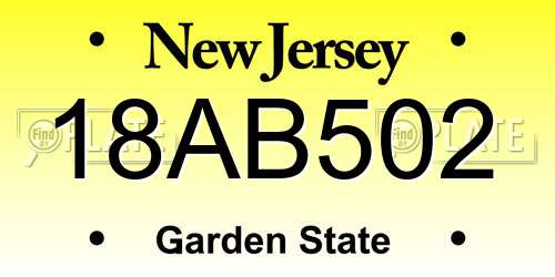 18AB502 New Jersey License Plate