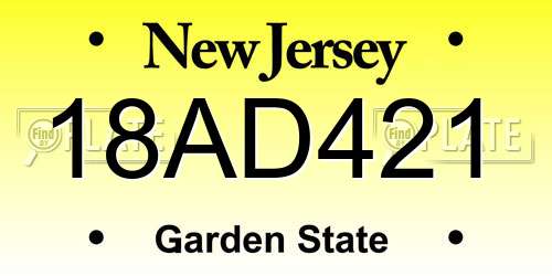 18AD421 New Jersey License Plate