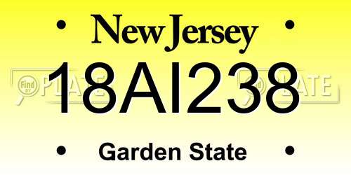 18AI238 New Jersey License Plate