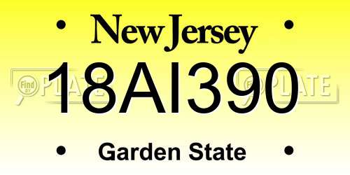 18AI390 New Jersey License Plate