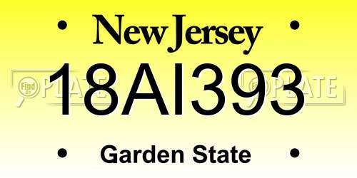 18AI393 New Jersey License Plate