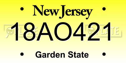 18AO421 New Jersey License Plate