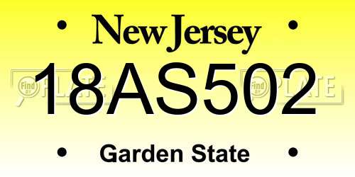 18AS502 New Jersey License Plate