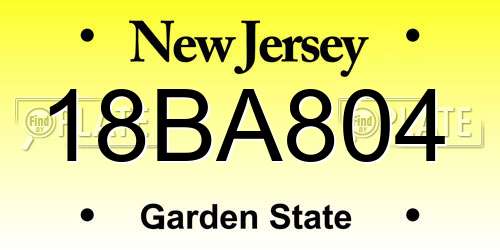 18BA804 New Jersey License Plate