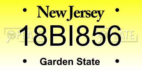 18BI856 New Jersey License Plate