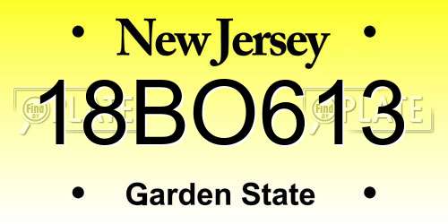 18BO613 New Jersey License Plate