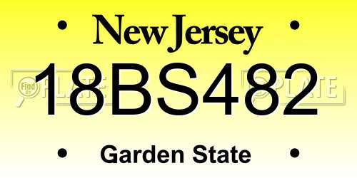18BS482 New Jersey License Plate
