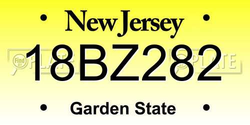 18BZ282 New Jersey License Plate