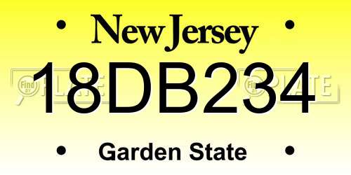 18DB234 New Jersey License Plate