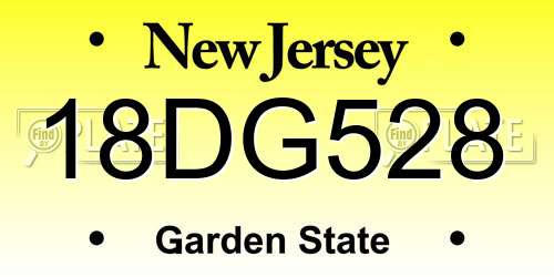 18DG528 New Jersey License Plate