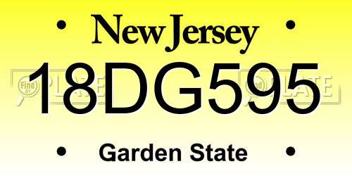 18DG595 New Jersey License Plate