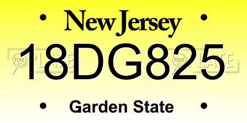 18DG825 New Jersey License Plate