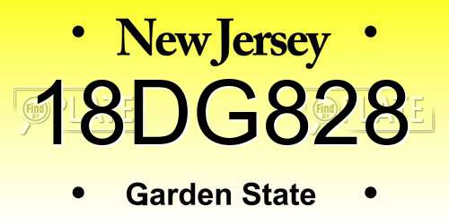 18DG828 New Jersey License Plate