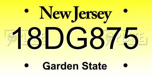 18DG875 New Jersey License Plate