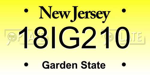 18IG210 New Jersey License Plate