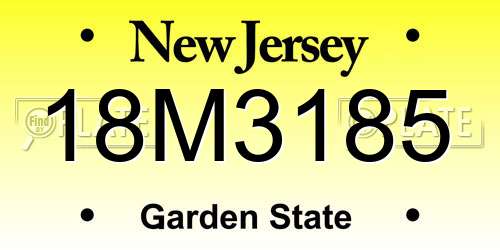 18M3185 New Jersey License Plate