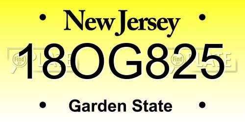 18OG825 New Jersey License Plate