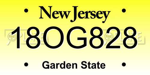 18OG828 New Jersey License Plate