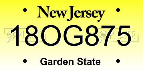 18OG875 New Jersey License Plate
