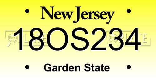 18OS234 New Jersey License Plate