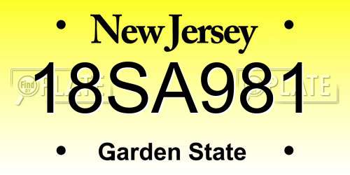 18SA981 New Jersey License Plate