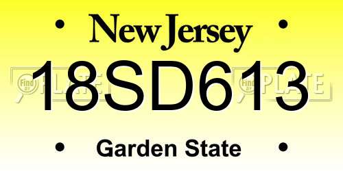 18SD613 New Jersey License Plate