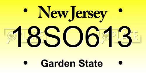 18SO613 New Jersey License Plate