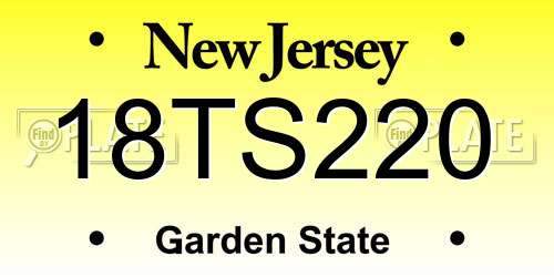 18TS220 New Jersey License Plate