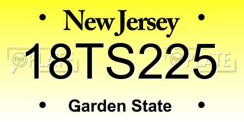 18TS225 New Jersey License Plate
