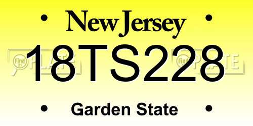 18TS228 New Jersey License Plate