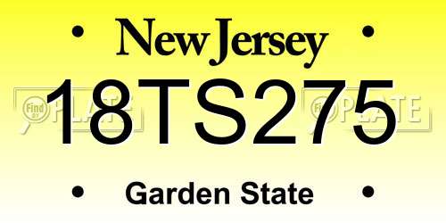 18TS275 New Jersey License Plate