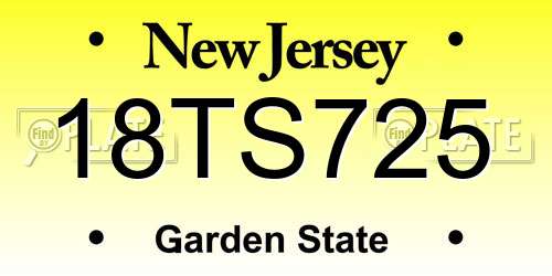 18TS725 New Jersey License Plate