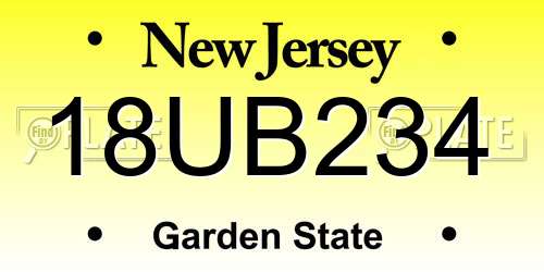 18UB234 New Jersey License Plate