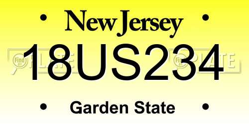 18US234 New Jersey License Plate