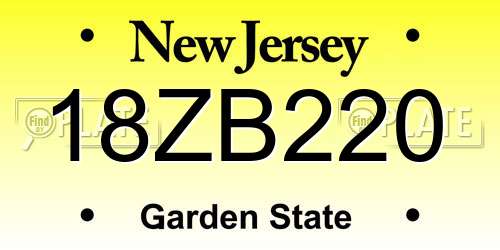 18ZB220 New Jersey License Plate
