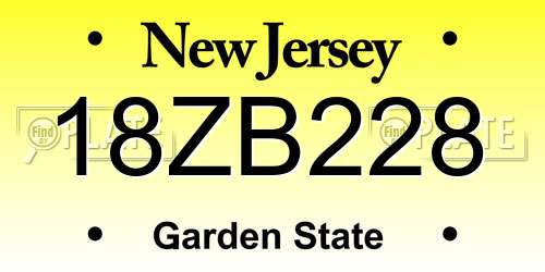 18ZB228 New Jersey License Plate