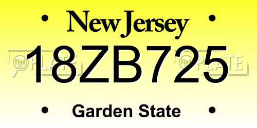18ZB725 New Jersey License Plate