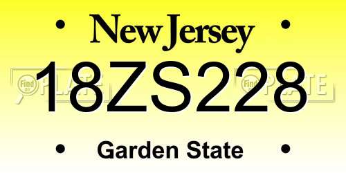 18ZS228 New Jersey License Plate