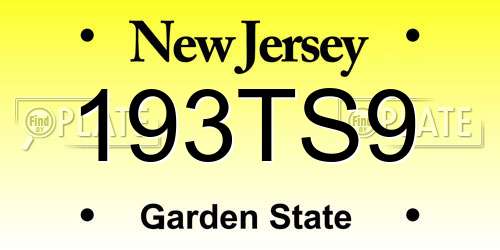 193TS9 New Jersey License Plate
