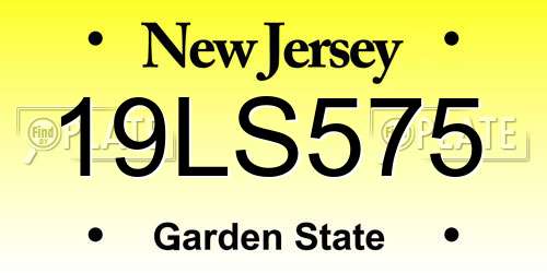 19LS575 New Jersey License Plate