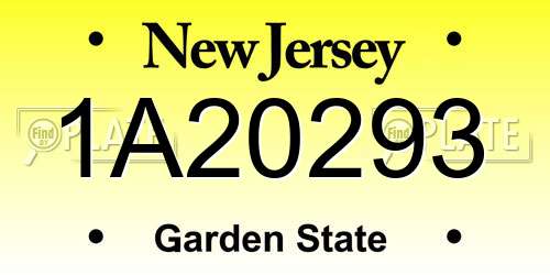 1A20293 New Jersey License Plate