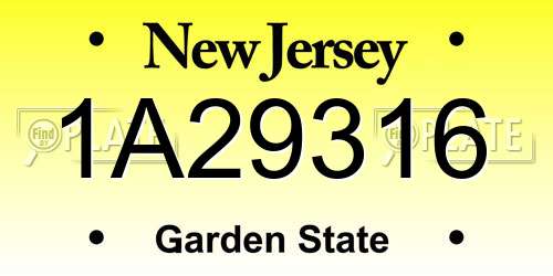 1A29316 New Jersey License Plate