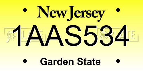 1AAS534 New Jersey License Plate