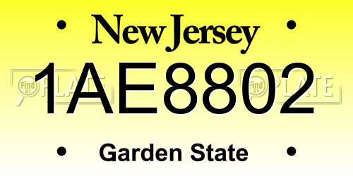 1AE8802 New Jersey License Plate