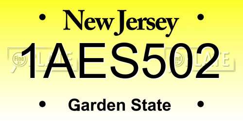 1AES502 New Jersey License Plate
