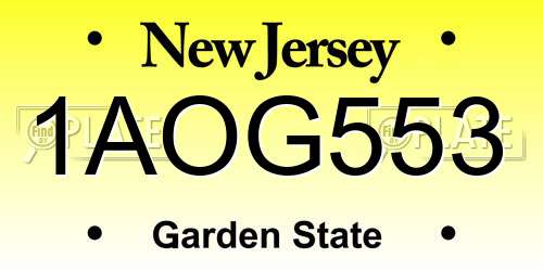 1AOG553 New Jersey License Plate