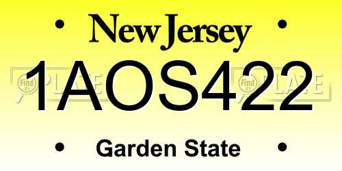 1AOS422 New Jersey License Plate